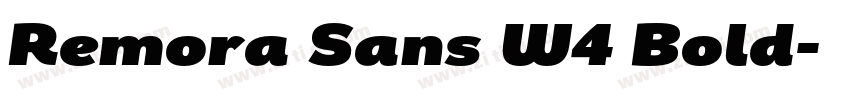 Remora Sans W4 Bold字体转换